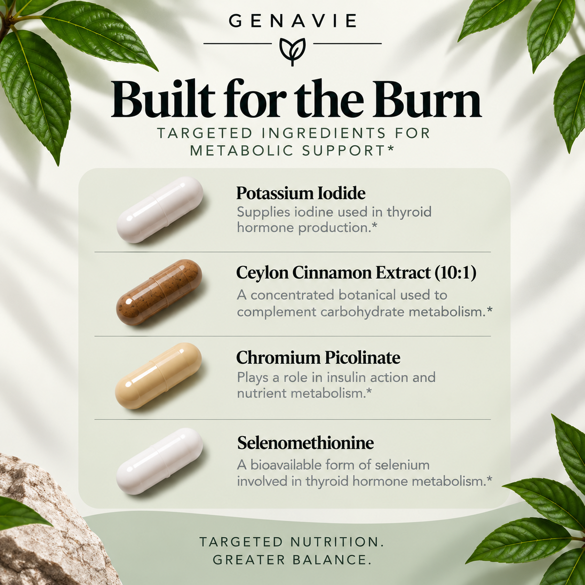 Genavie metabolic support ingredients